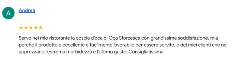 Coscia d'oca al forno